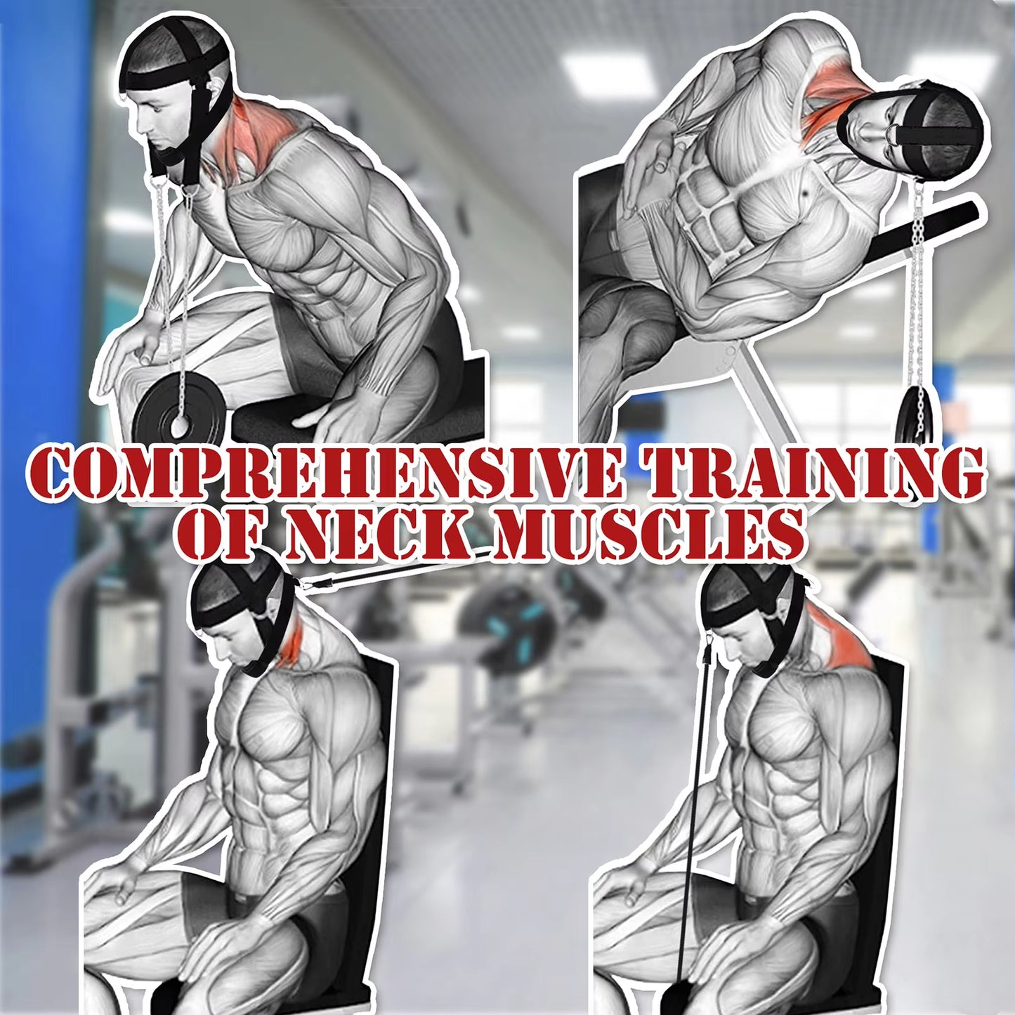 Head Neck Trainer Adjustable Neck Exerciser Head Harness Weight Lifting Belt Head Training Belt for Fitness Head Injury Recovery